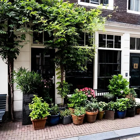 The Blossom House Gæstehus 4*