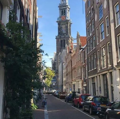 The Blossom House בית הארחה אמסטרדם